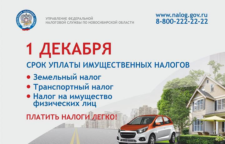 УФНС России по Новосибирской области напоминает: не позднее 1 декабря нужно уплатить имущественные налоги