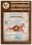 cert-2020-04-30_06-12-33-879 (1).jpg