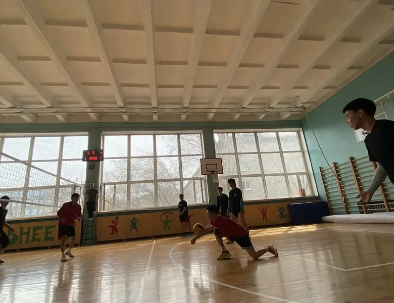Товарищеская встреча по волейболу